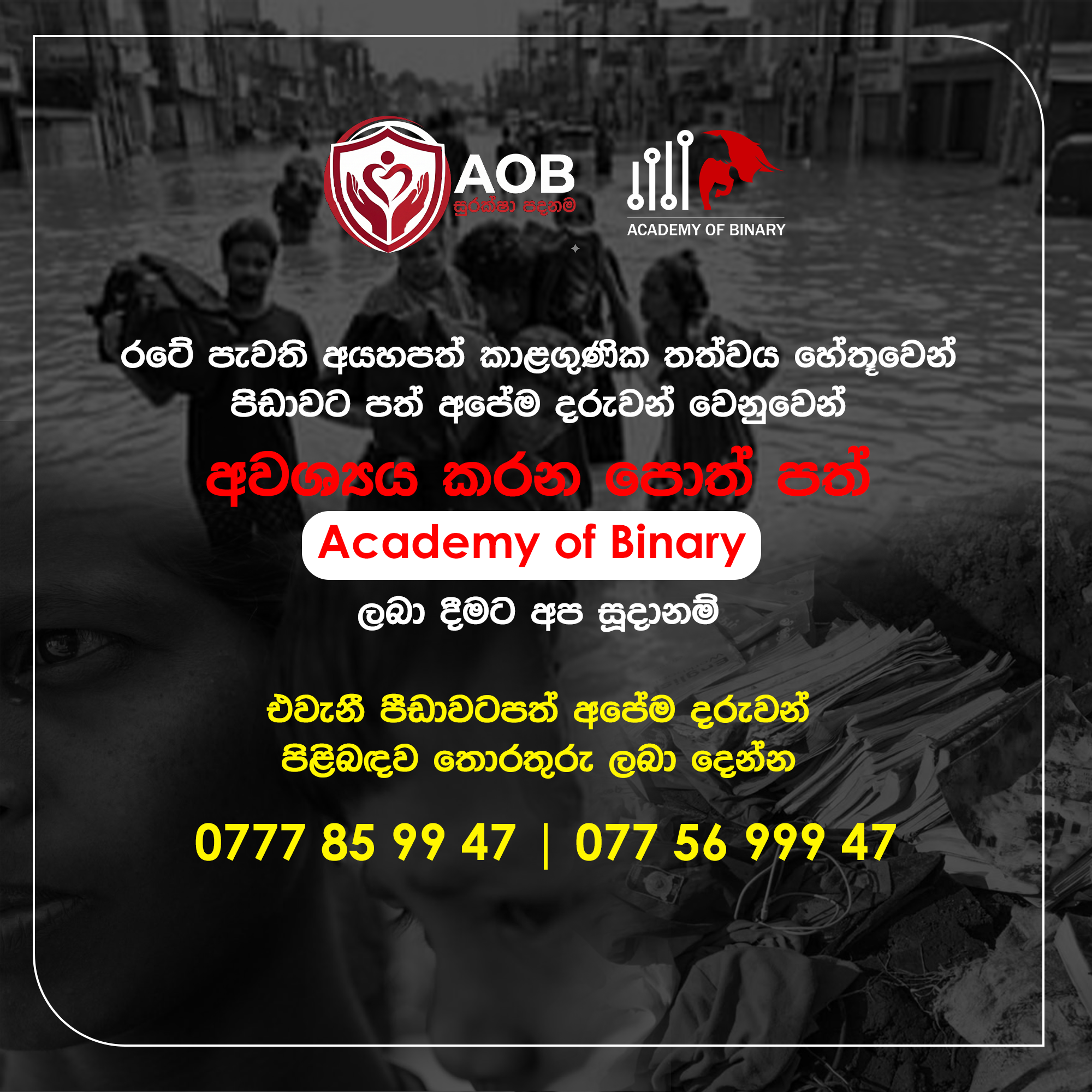Post from Academy of Binary