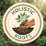 W-tKIq5s_NM-channel-avatar-Holistic Roots