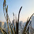 @고갈산-s4k