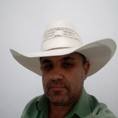 diney da fumaça