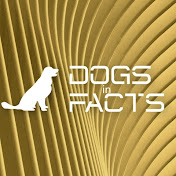 Dogs in Facts