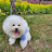 @위스키사케짱