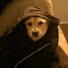 hzwOwzGtiZw-channel-avatar-Alt Copperpot5