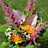 C3XNpxRXCvQ-channel-avatar-フラワーブティックポンポンデイジー　花屋で働く人  flower shop worker