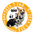 JjuP-pK12LY-channel-avatar-コーギー犬くうちいちゅーぶ
