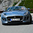 F-Type Driver