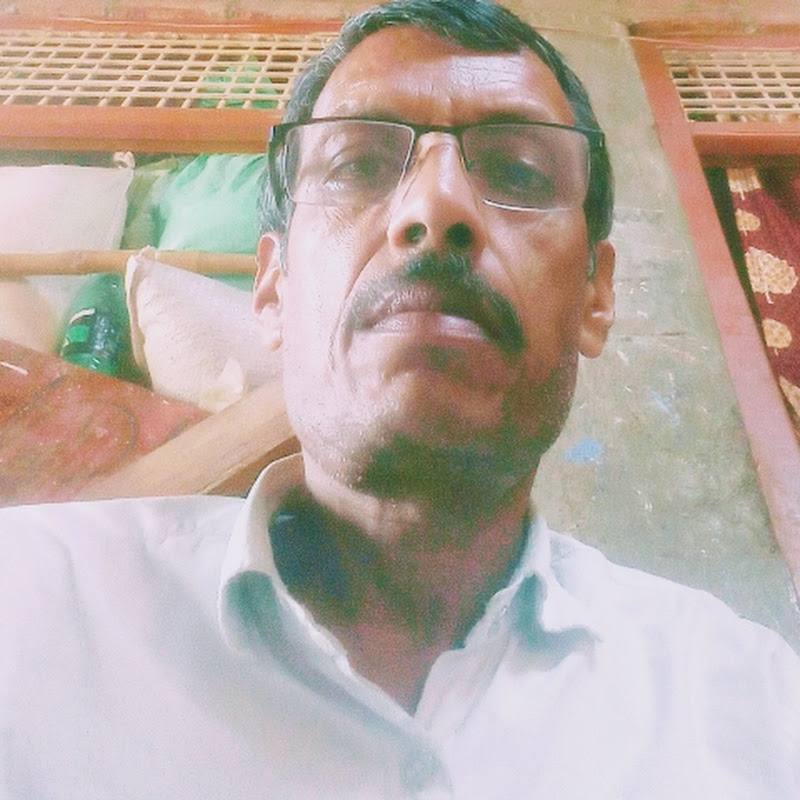 Singh Educational Study's 