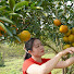 8rIIXJh6Y1o-channel-avatar-Tiểu Ca Daily Farm