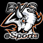 Buffalo Valley eSports logo