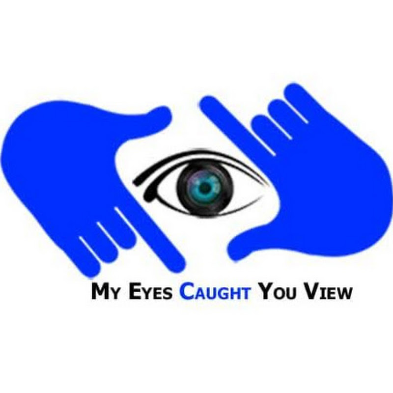 My eyes caught you view