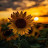 @MahmoodAlloush-vl5ow