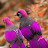 @abohekim6077