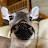 Deer man 