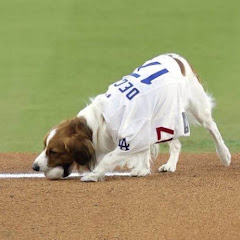 水原三平 【NPB MLB】速報