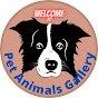 Pet Animals Gallery logo