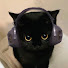 Z6Y-MDWC4wg-channel-avatar-AsmRUKidding