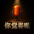 URgpyANNKTo-channel-avatar-你觉得呢?