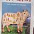 Nl4Yb7nJMag-channel-avatar-SARV BHAKTI GYAN SAGAR