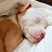 @Bunny96920ggg Avatar
