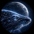 adbk5aqg7xo-channel-avatar-Astralune Trance