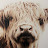 @joelbaker9945 Avatar