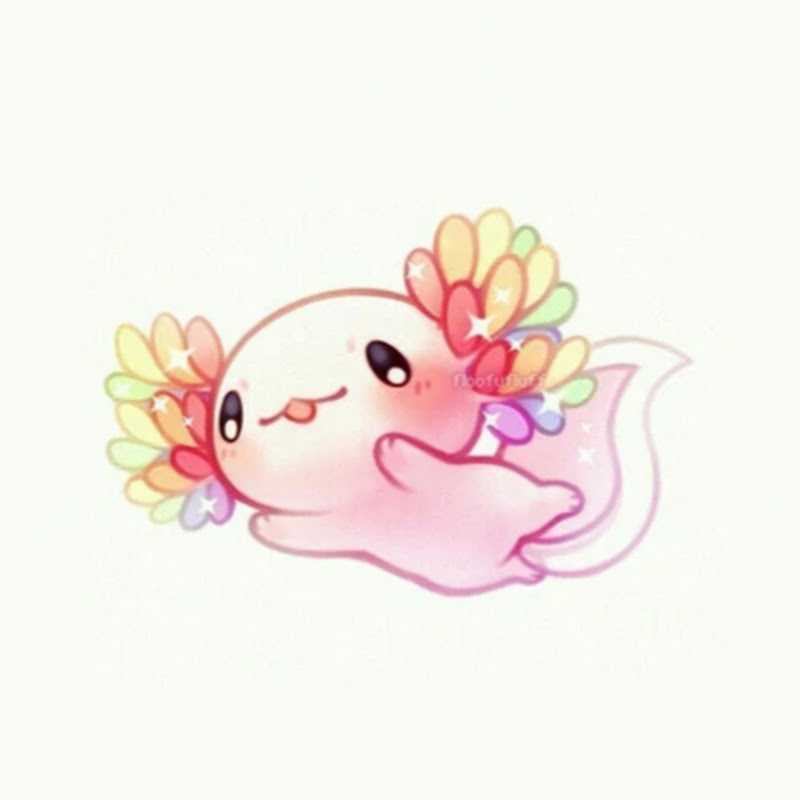 Pinku Axolotl🍥