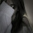 @mi_r21l