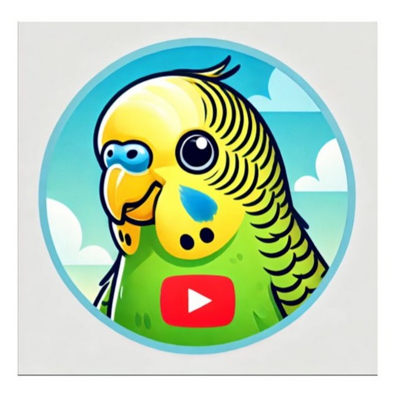 Chirp & Teach