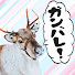 C6u1PsOz17I-channel-avatar-【公認】頑張れ!トナカイト!