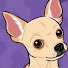 4zQCBiunazU-channel-avatar-EL CHIHUAHUITA  LOKO