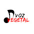 VT7cWI9bDfs-channel-avatar-Voz Vegetal