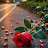 @محمدمحمد-ه9غ9ت