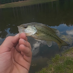 AW Outdoors
