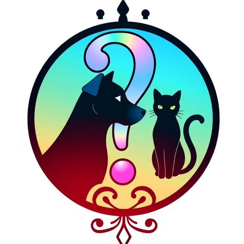 Cuestionando El Secreto