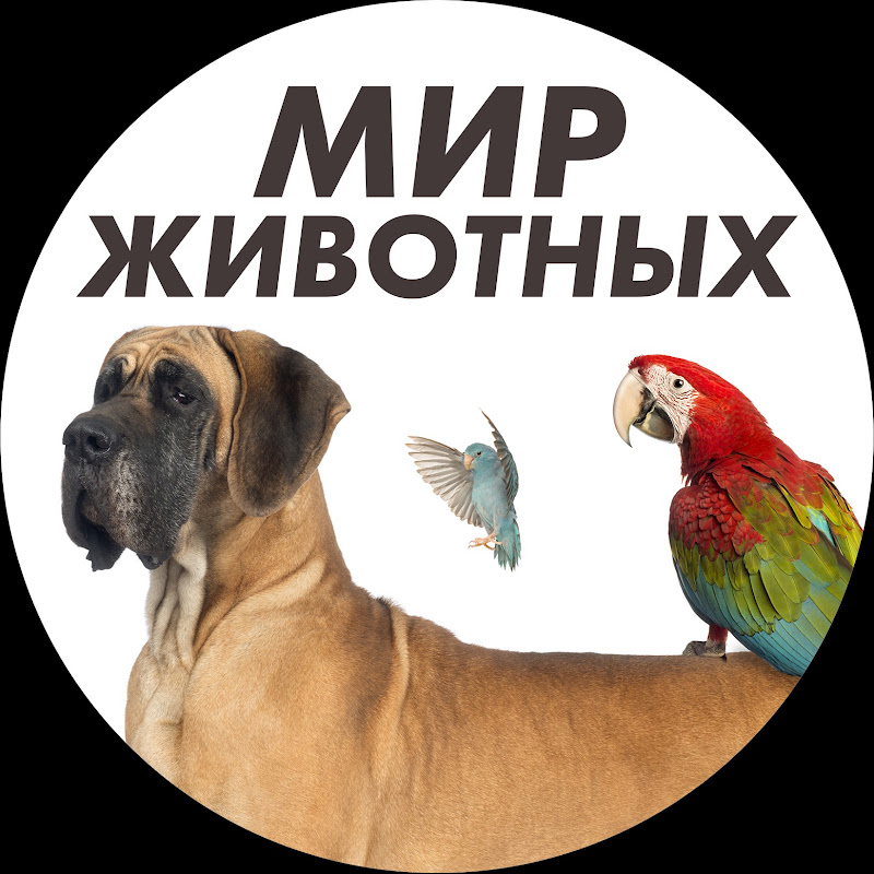 Мир животных Logo