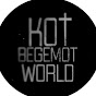 WorldBegemotKot † Страшные истории † Image Thumbnail
