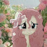 nAcwZVM_zlw-channel-avatar-💛شيخه قيمرز 💫