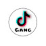 fIalrvTfAo0-channel-avatar-Tiktok Gang