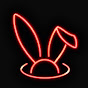follow the rabbit logo