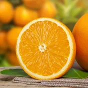 FANTA ICE