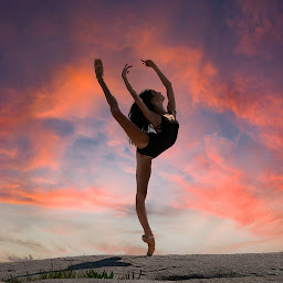 Sharkcookie Photography