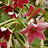 @SandipShelar-f8v9k Avatar