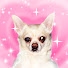 Zufn1u4y6ag-channel-avatar-Kpop Cancelled with Angelina
