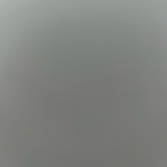 Jessi Callahan net worth