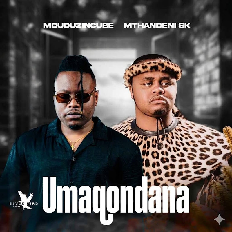 Mduduzi Ncube - Topic