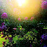 7Ey1dvmuJMo-channel-avatar-Earth Angel Time cant Explain Pain couldn't Stain 