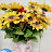@파랑새-z6t