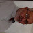 @MohamedMessaoud-gf5lm