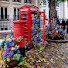 DrvvYvYLh_8-channel-avatar-Tatiana TravelOrchidsLondon Forever Curious 