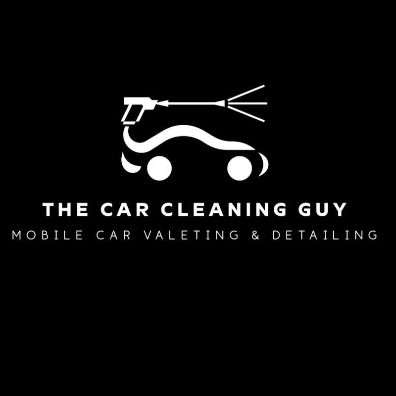 The Car Cleaning Guy